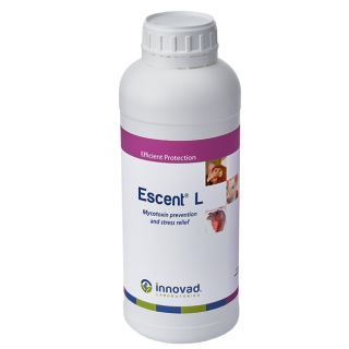 ALL_catalog_24F07_C4CNtvbd9n