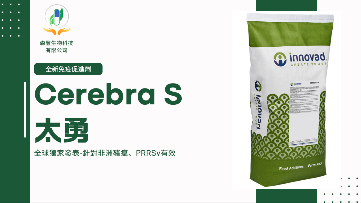 screenshot-2025-01-03-at-13.51.11